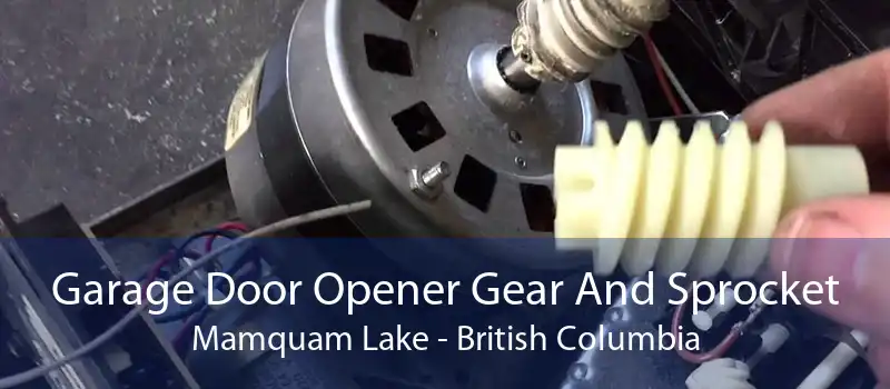 Garage Door Opener Gear And Sprocket Mamquam Lake - British Columbia