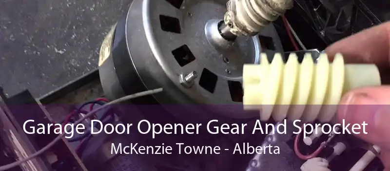 Garage Door Opener Gear And Sprocket McKenzie Towne - Alberta