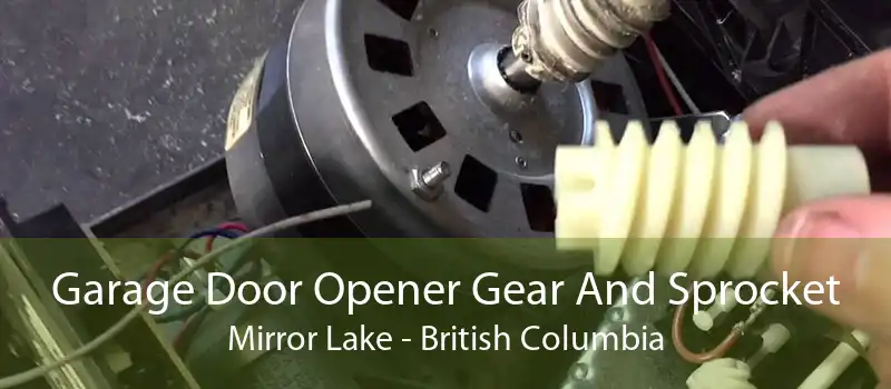 Garage Door Opener Gear And Sprocket Mirror Lake - British Columbia