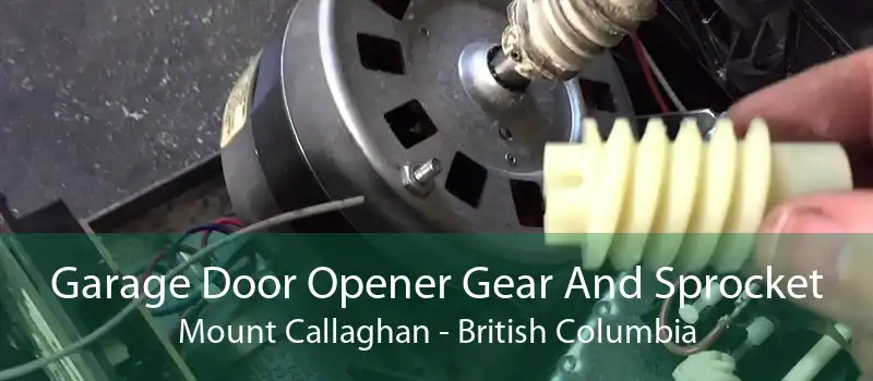 Garage Door Opener Gear And Sprocket Mount Callaghan - British Columbia