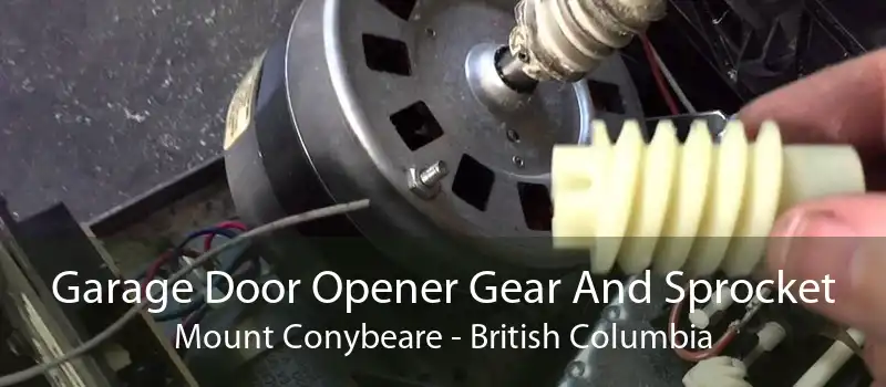 Garage Door Opener Gear And Sprocket Mount Conybeare - British Columbia