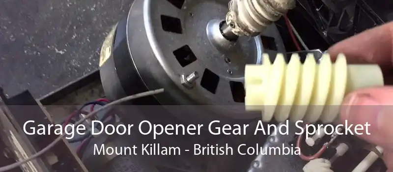 Garage Door Opener Gear And Sprocket Mount Killam - British Columbia