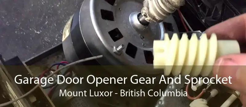 Garage Door Opener Gear And Sprocket Mount Luxor - British Columbia