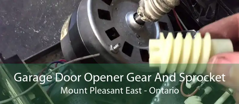 Garage Door Opener Gear And Sprocket Mount Pleasant East - Ontario