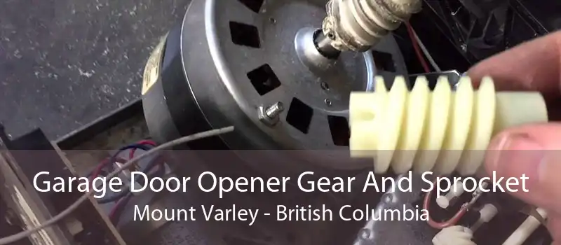 Garage Door Opener Gear And Sprocket Mount Varley - British Columbia