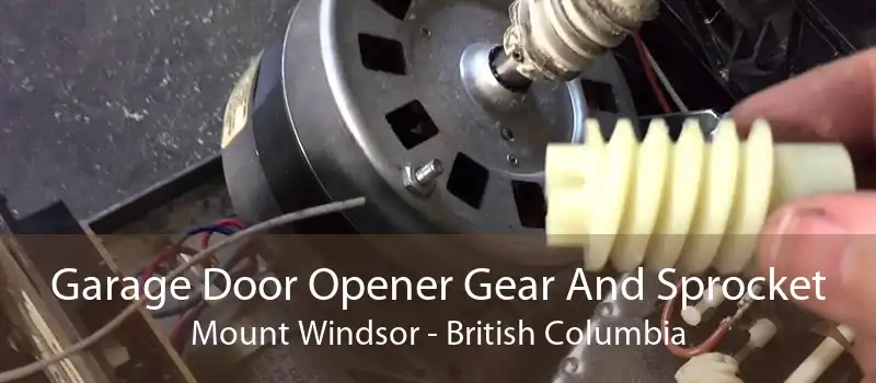 Garage Door Opener Gear And Sprocket Mount Windsor - British Columbia