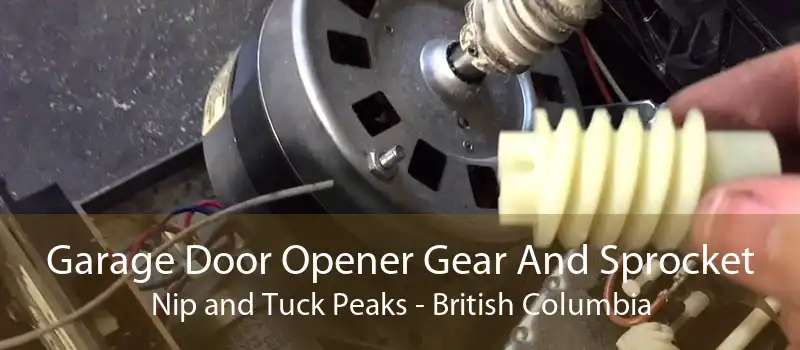Garage Door Opener Gear And Sprocket Nip and Tuck Peaks - British Columbia