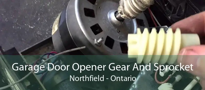Garage Door Opener Gear And Sprocket Northfield - Ontario