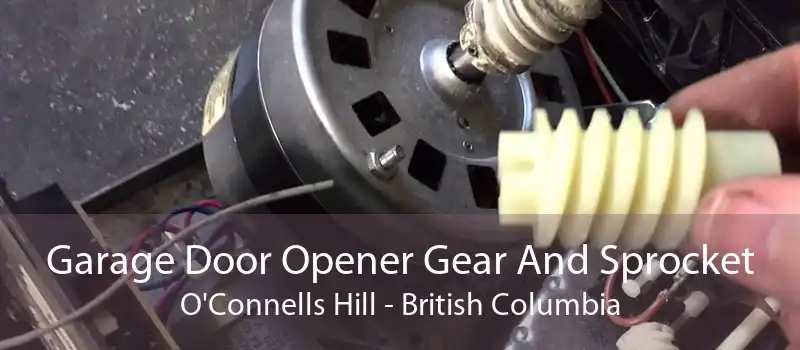 Garage Door Opener Gear And Sprocket O'Connells Hill - British Columbia