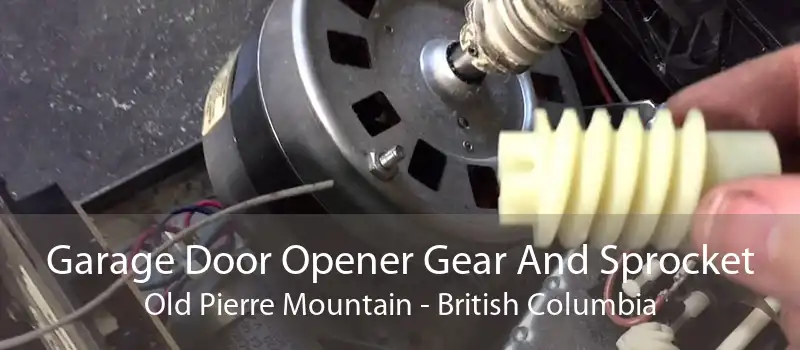 Garage Door Opener Gear And Sprocket Old Pierre Mountain - British Columbia