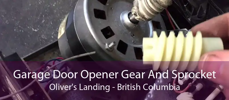 Garage Door Opener Gear And Sprocket Oliver's Landing - British Columbia