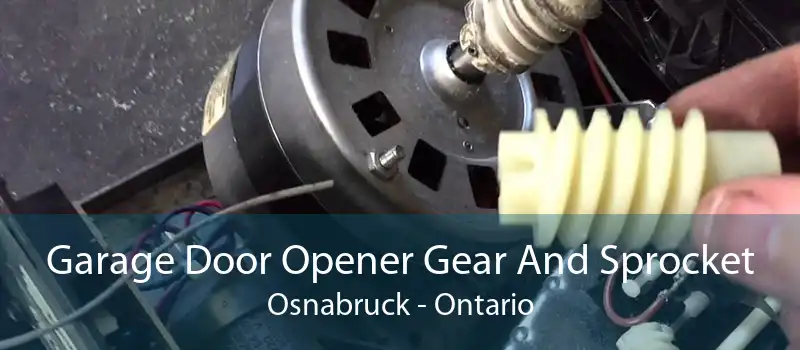 Garage Door Opener Gear And Sprocket Osnabruck - Ontario