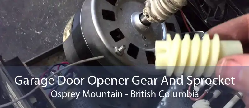 Garage Door Opener Gear And Sprocket Osprey Mountain - British Columbia