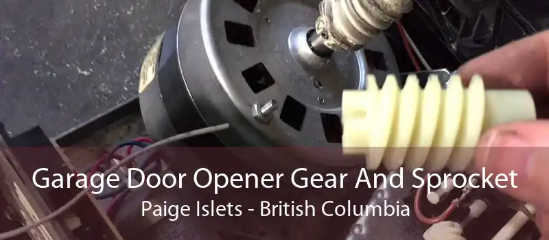 Garage Door Opener Gear And Sprocket Paige Islets - British Columbia
