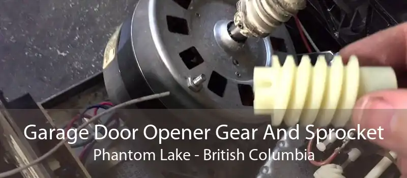 Garage Door Opener Gear And Sprocket Phantom Lake - British Columbia