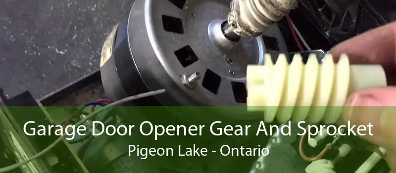 Garage Door Opener Gear And Sprocket Pigeon Lake - Ontario