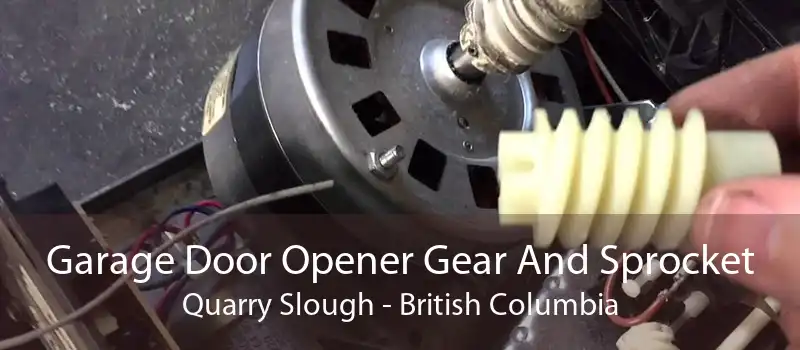 Garage Door Opener Gear And Sprocket Quarry Slough - British Columbia