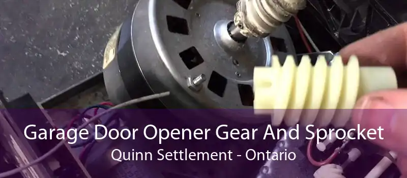 Garage Door Opener Gear And Sprocket Quinn Settlement - Ontario