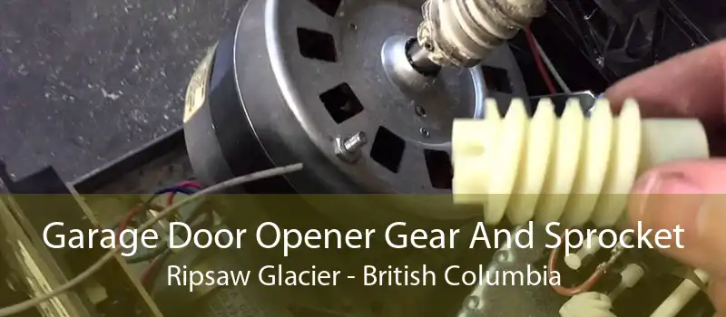 Garage Door Opener Gear And Sprocket Ripsaw Glacier - British Columbia