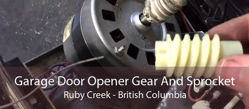 Garage Door Opener Gear And Sprocket Ruby Creek - British Columbia