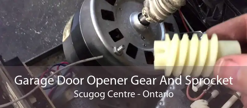 Garage Door Opener Gear And Sprocket Scugog Centre - Ontario