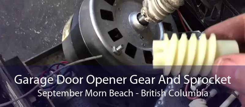 Garage Door Opener Gear And Sprocket September Morn Beach - British Columbia