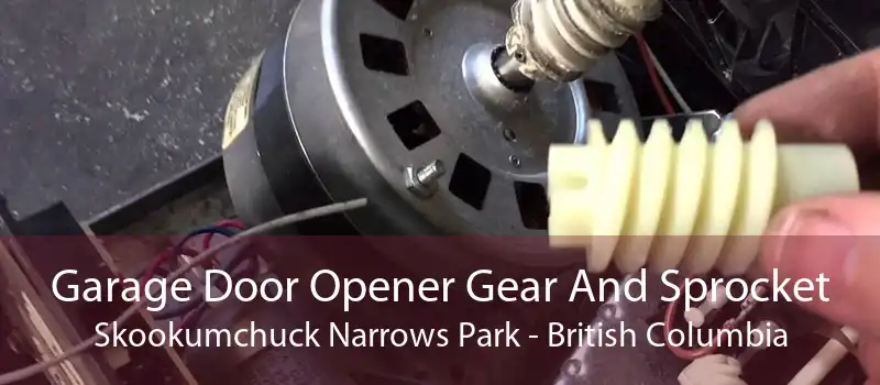 Garage Door Opener Gear And Sprocket Skookumchuck Narrows Park - British Columbia