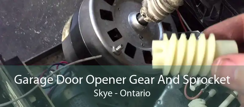 Garage Door Opener Gear And Sprocket Skye - Ontario