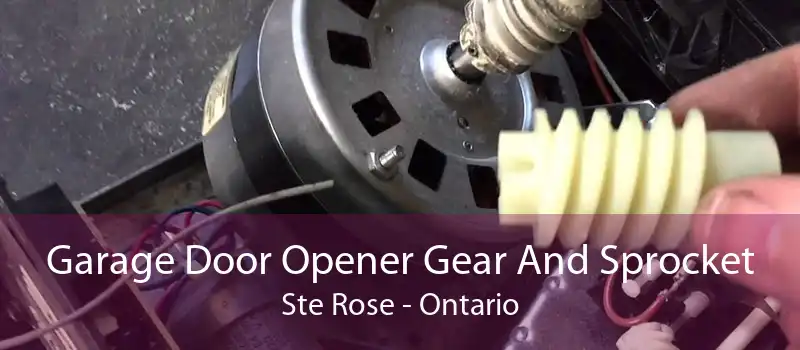 Garage Door Opener Gear And Sprocket Ste Rose - Ontario