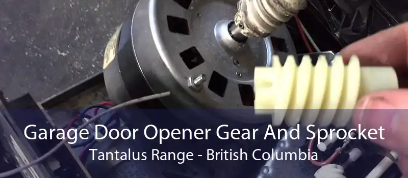 Garage Door Opener Gear And Sprocket Tantalus Range - British Columbia