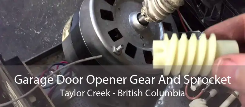 Garage Door Opener Gear And Sprocket Taylor Creek - British Columbia