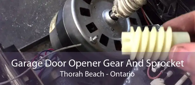 Garage Door Opener Gear And Sprocket Thorah Beach - Ontario