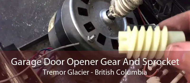 Garage Door Opener Gear And Sprocket Tremor Glacier - British Columbia