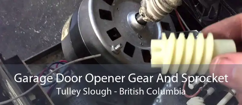 Garage Door Opener Gear And Sprocket Tulley Slough - British Columbia
