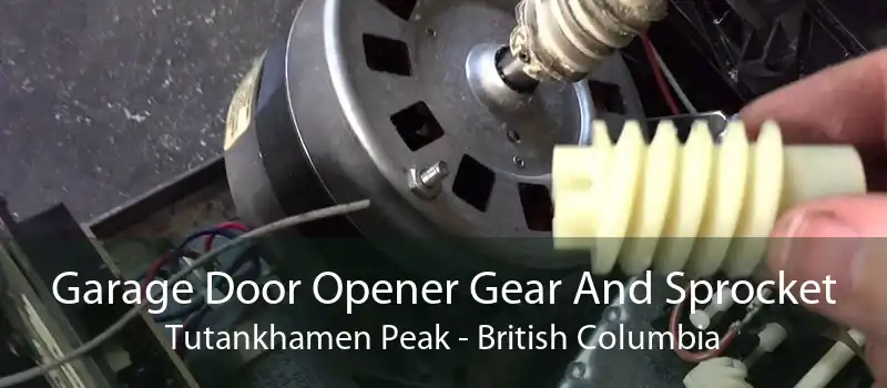 Garage Door Opener Gear And Sprocket Tutankhamen Peak - British Columbia