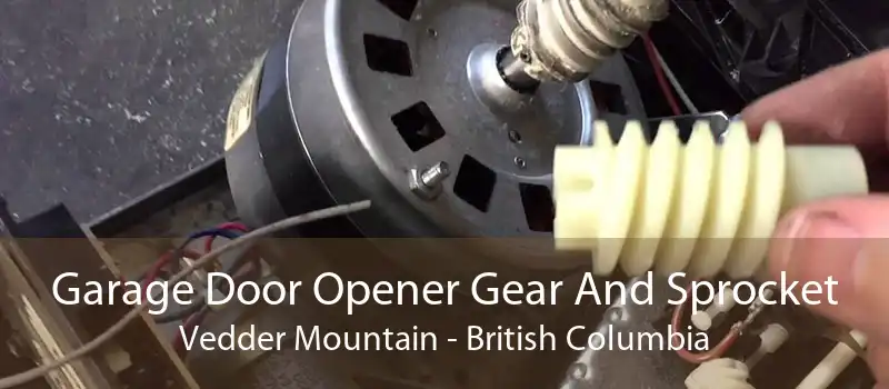 Garage Door Opener Gear And Sprocket Vedder Mountain - British Columbia