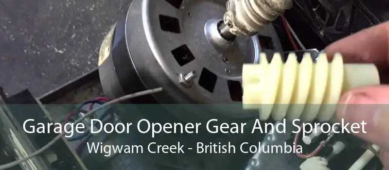Garage Door Opener Gear And Sprocket Wigwam Creek - British Columbia