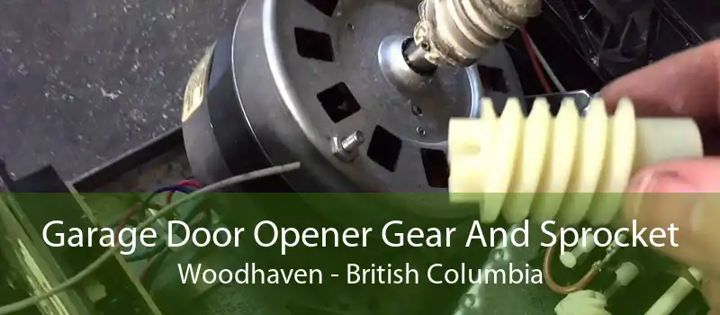 Garage Door Opener Gear And Sprocket Woodhaven - British Columbia