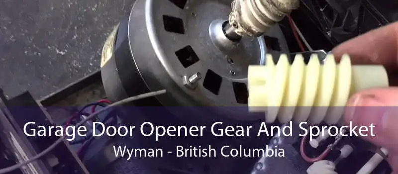 Garage Door Opener Gear And Sprocket Wyman - British Columbia