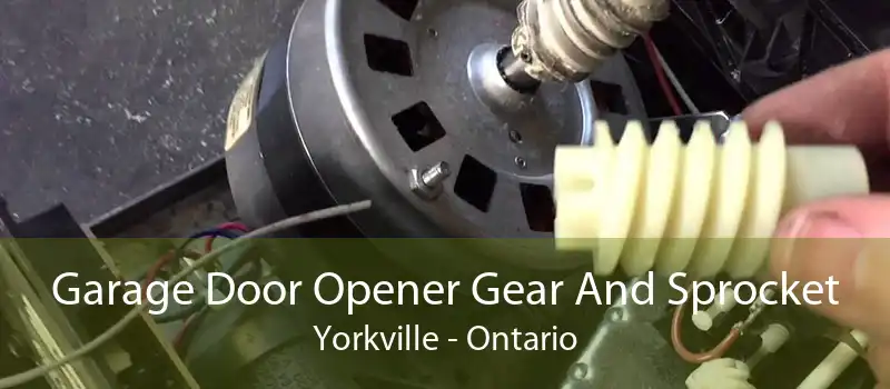 Garage Door Opener Gear And Sprocket Yorkville - Ontario