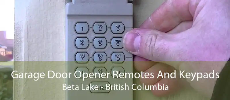 Garage Door Opener Remotes And Keypads Beta Lake - British Columbia