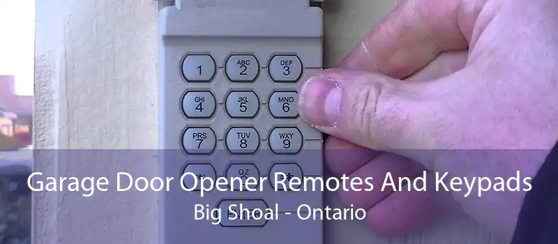 Garage Door Opener Remotes And Keypads Big Shoal - Ontario