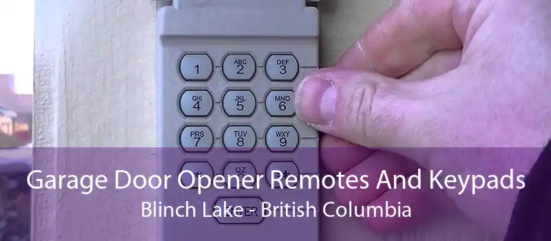 Garage Door Opener Remotes And Keypads Blinch Lake - British Columbia