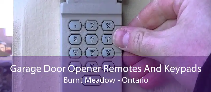 Garage Door Opener Remotes And Keypads Burnt Meadow - Ontario