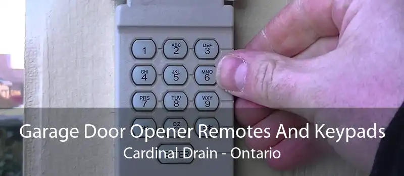 Garage Door Opener Remotes And Keypads Cardinal Drain - Ontario