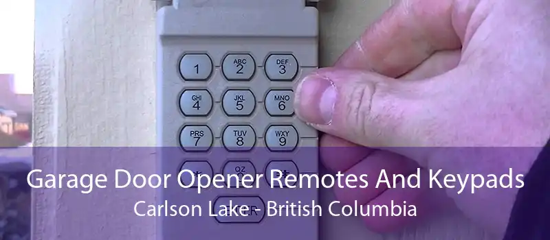 Garage Door Opener Remotes And Keypads Carlson Lake - British Columbia