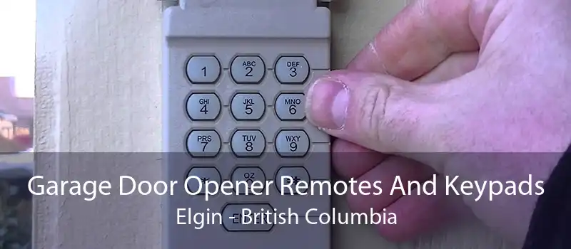 Garage Door Opener Remotes And Keypads Elgin - British Columbia