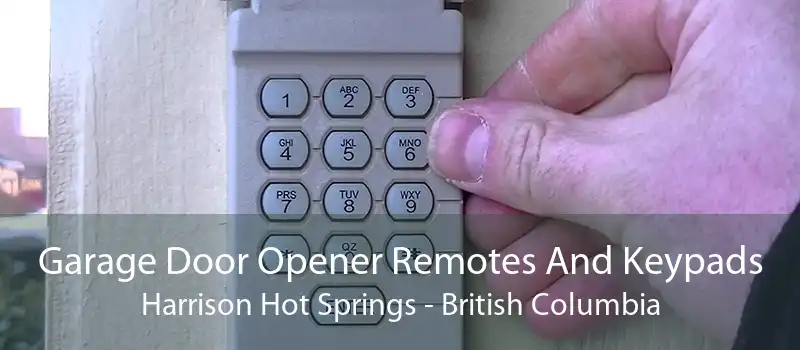 Garage Door Opener Remotes And Keypads Harrison Hot Springs - British Columbia