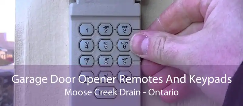 Garage Door Opener Remotes And Keypads Moose Creek Drain - Ontario
