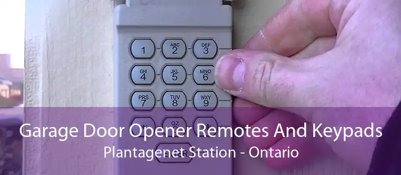 Garage Door Opener Remotes And Keypads Plantagenet Station - Ontario